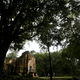 Sambor Prei Kuk name means “the temple in the richness of the forest” in Khmer.